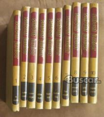 eBuscar Segunda mano Enciclopedia Salvat Junior